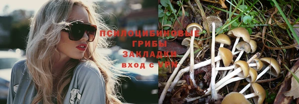 метадон Алексеевка