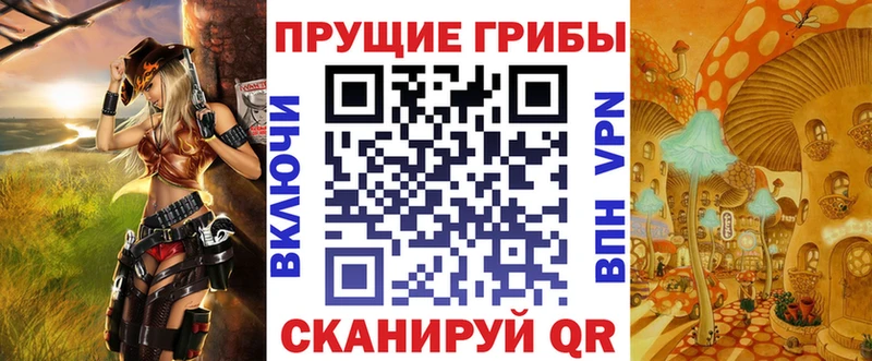 KRAKEN как войти Жуков Псилоцибиновые грибы Psilocybe